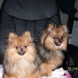 Meet your Posher, Charlene